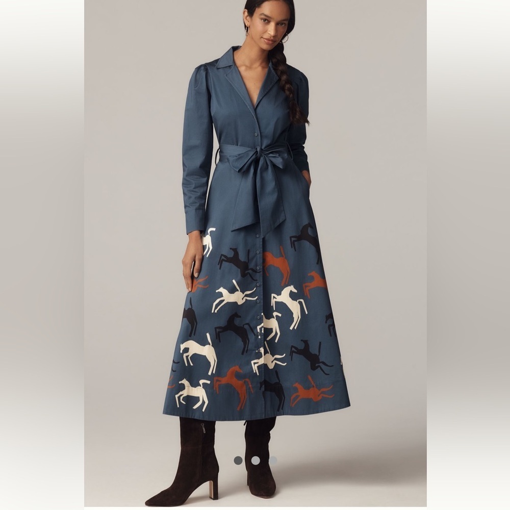🎉SUPER RARE🎉 Anthropologie NWT Caroline K Anais Long Sleeve V-Neck Dress size S. - Picture 2 of 7